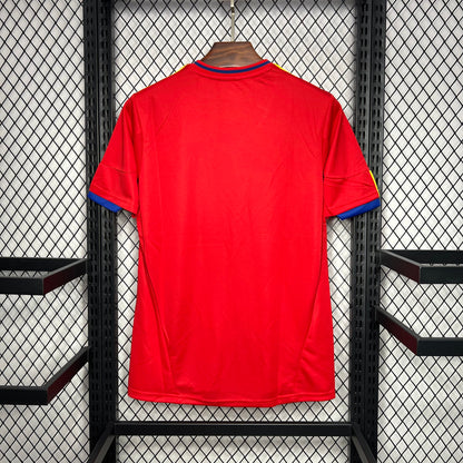 Camiseta España 2010