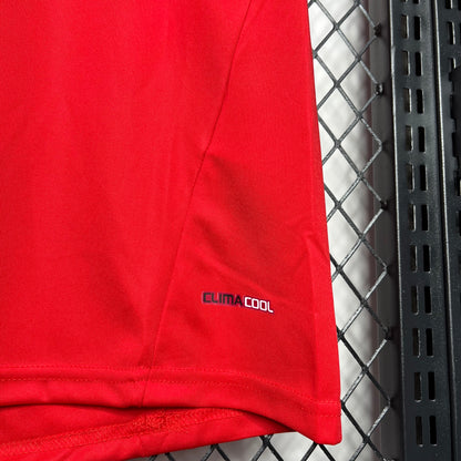 Camiseta España 2010